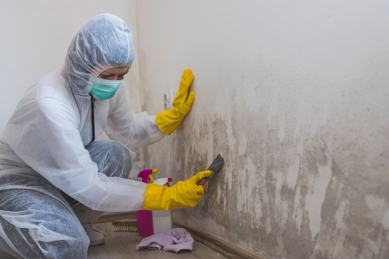Mold Prevention and Removal
