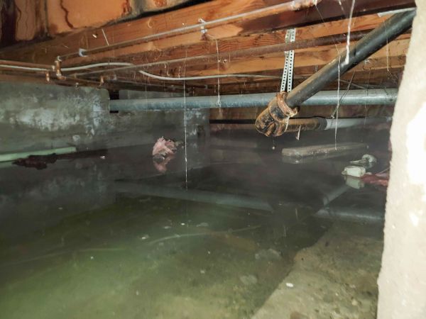 Water Mitigation Service in Cocoa