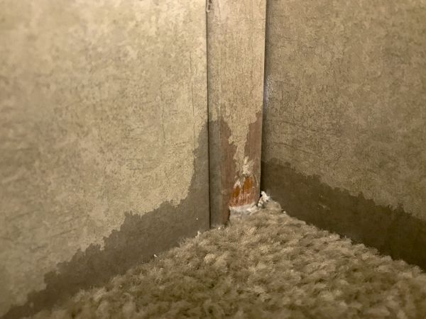 Carpet Water Damage Repair